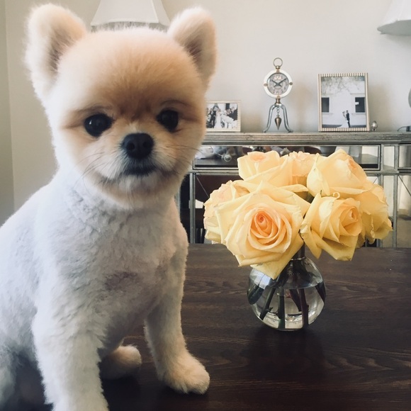 Hi 👋🏼 - Picture 1 of 1